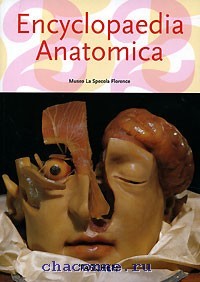During, Monika; Poggesi, Marta; Didi-Huberman, Georges: Encyclopaedia anatomica. Museo La Specola Florence