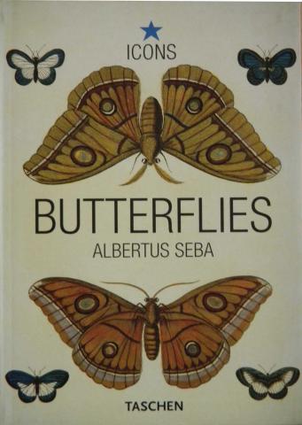 [ ]: Butterflies