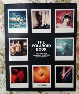 . Steve, Crist; Barbara, Hitchcock: The Polaroid Book