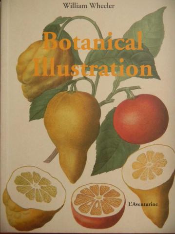 Wheeler, William: Botanical illustration 