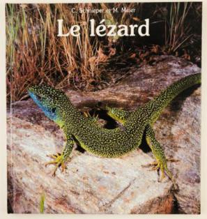 , .; , .: Le lezard ()