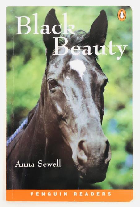 , .: Black Beauty: Level 2 ( .  2)