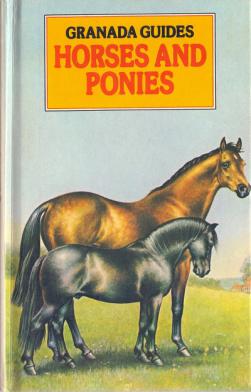 Richardson, Jilie: Horses and Ponies