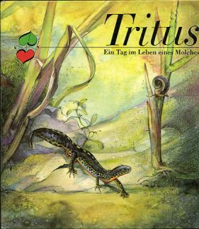 [ ]: Tritus