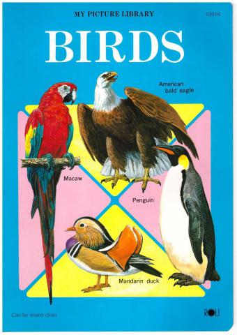 [ ]: Birds