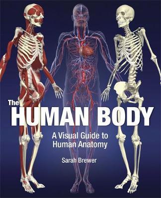 Brewer, Sarah Dr: The Human Body: A Visual Guide to Human Anatomy