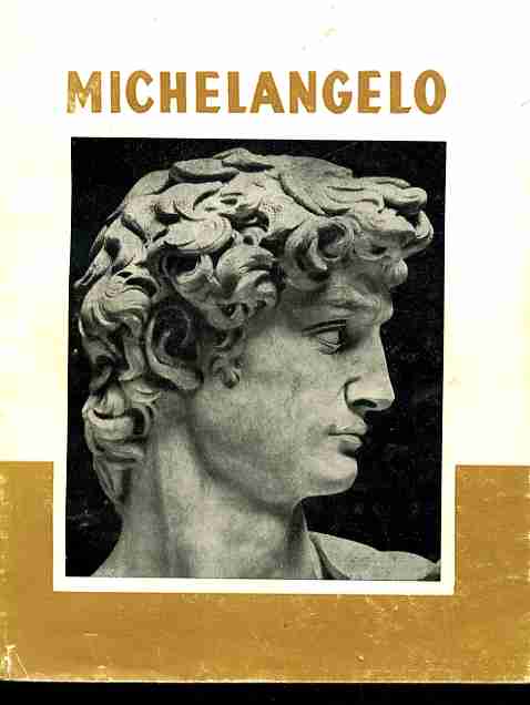 [ ]: Michelangelo / 