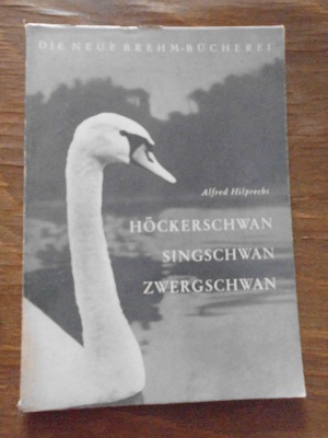 Hilprecht, Alfred: Hockerschwan singschwan zwergschwan